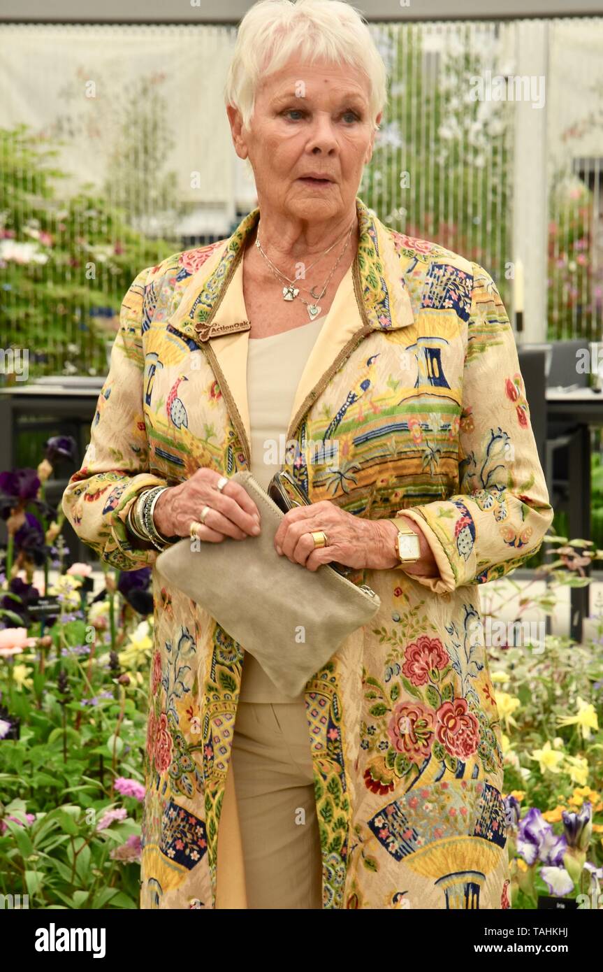 Dame judi dench chelsea flower show hires stock photography and images(02)
