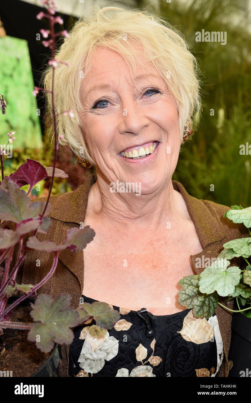 Carol Klein. RHS Chelsea Flower Show, Press Day, London Stock Photo