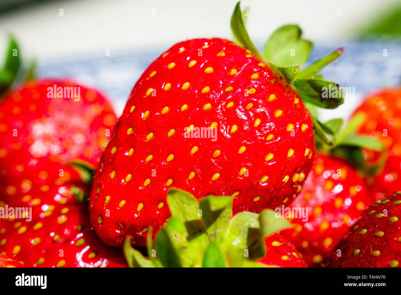 Group of people eating strawberries hi-res stock photography and images ...