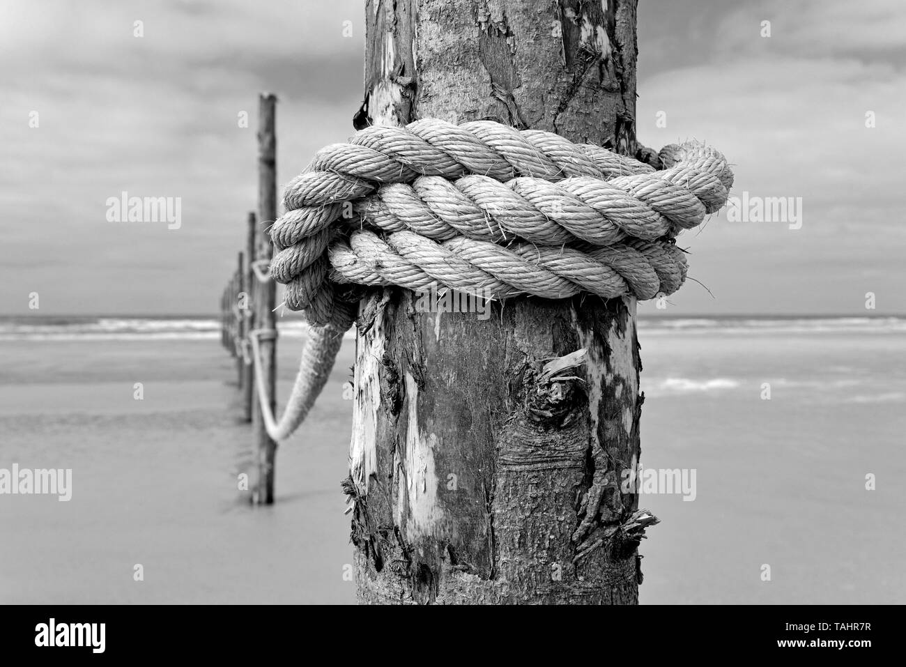 Poles with rope at the guarded beach, monochrome, Wangerooge, East Frisian Islands, North Sea, Lower Saxony, Germany Stock Photo