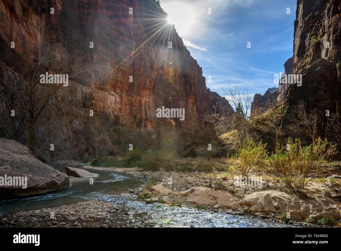 Sun shines over rock face, River Virgin River flows through Zion Canyon, Riverside Walk, The Narrows, Zion National Park, Utah, USA Stock Photo