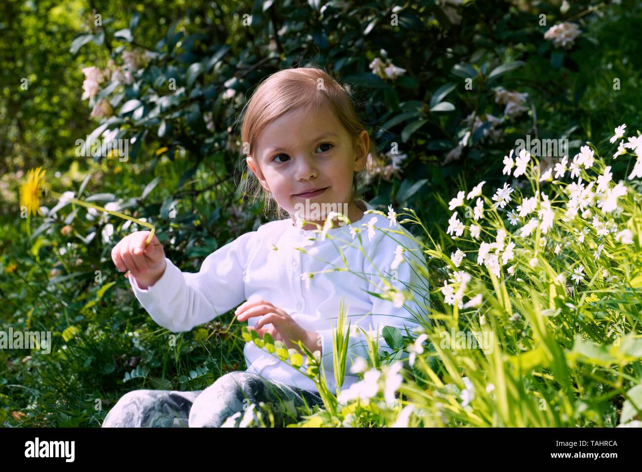 Little girl sitting among flowers on the meadow, Czech Republic Stock Photo