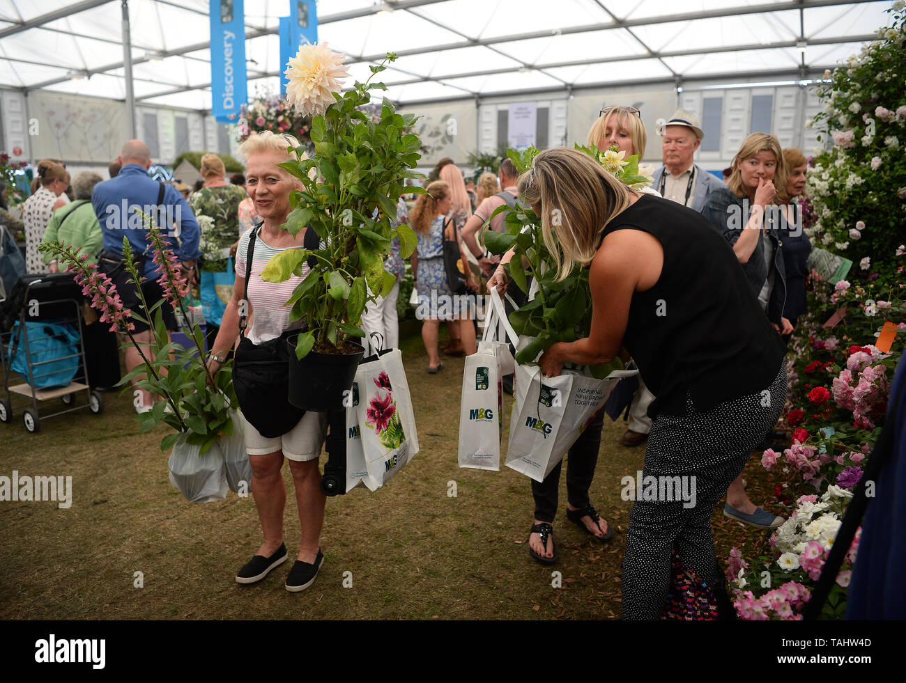 Visitors carry pot plants after the great plant sell-off at the RHS Chelsea Flower Show at the Royal Hospital Chelsea, London. Stock Photo