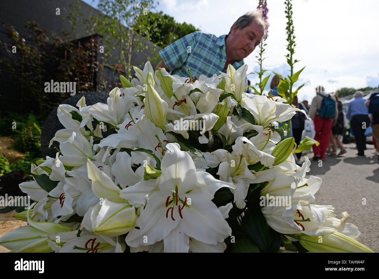 A visitor inspects his lilies after the great plant selloff at the RHS
