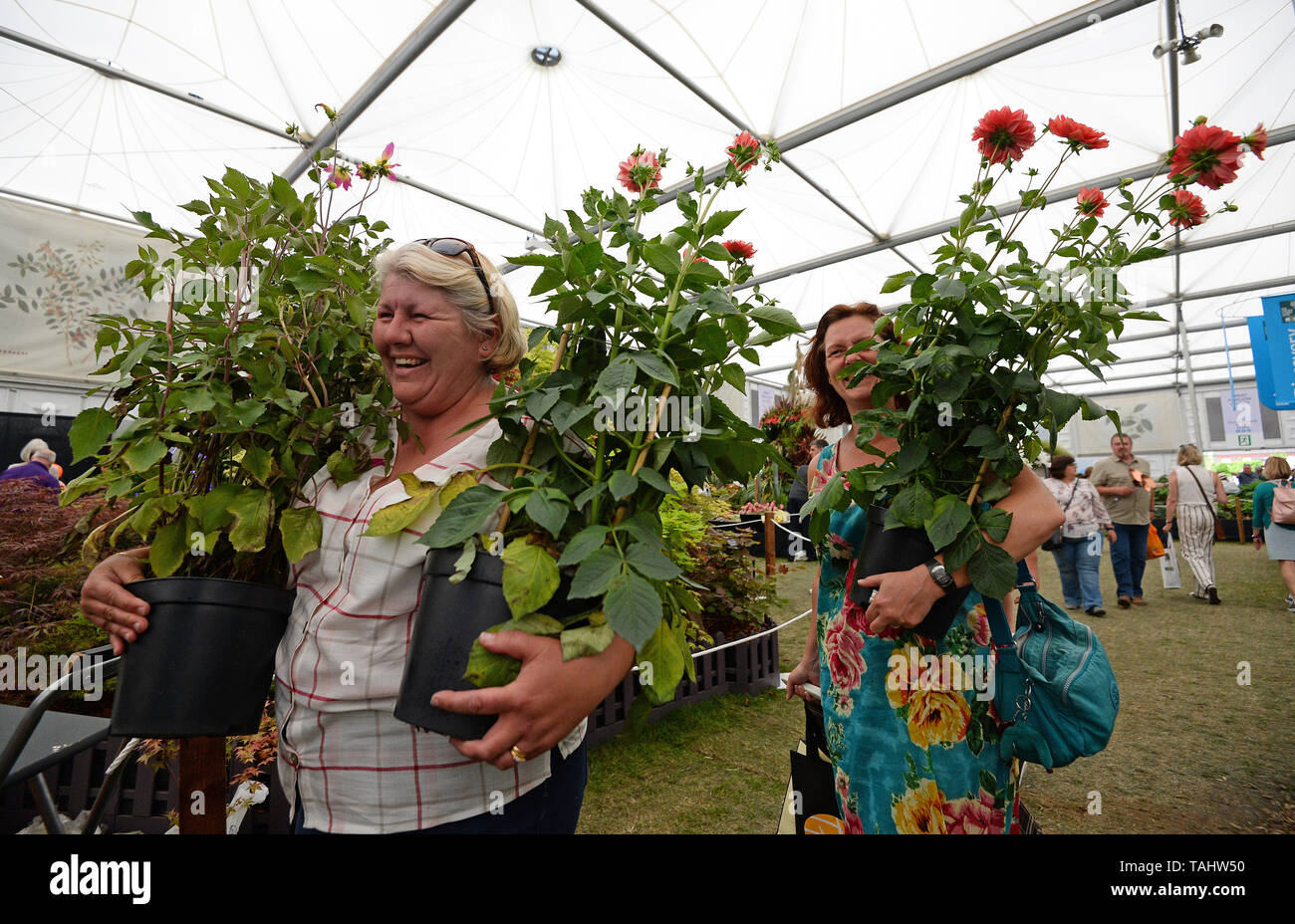 Visitors carry pot plants after the great plant sell-off at the RHS Chelsea Flower Show at the Royal Hospital Chelsea, London. Stock Photo
