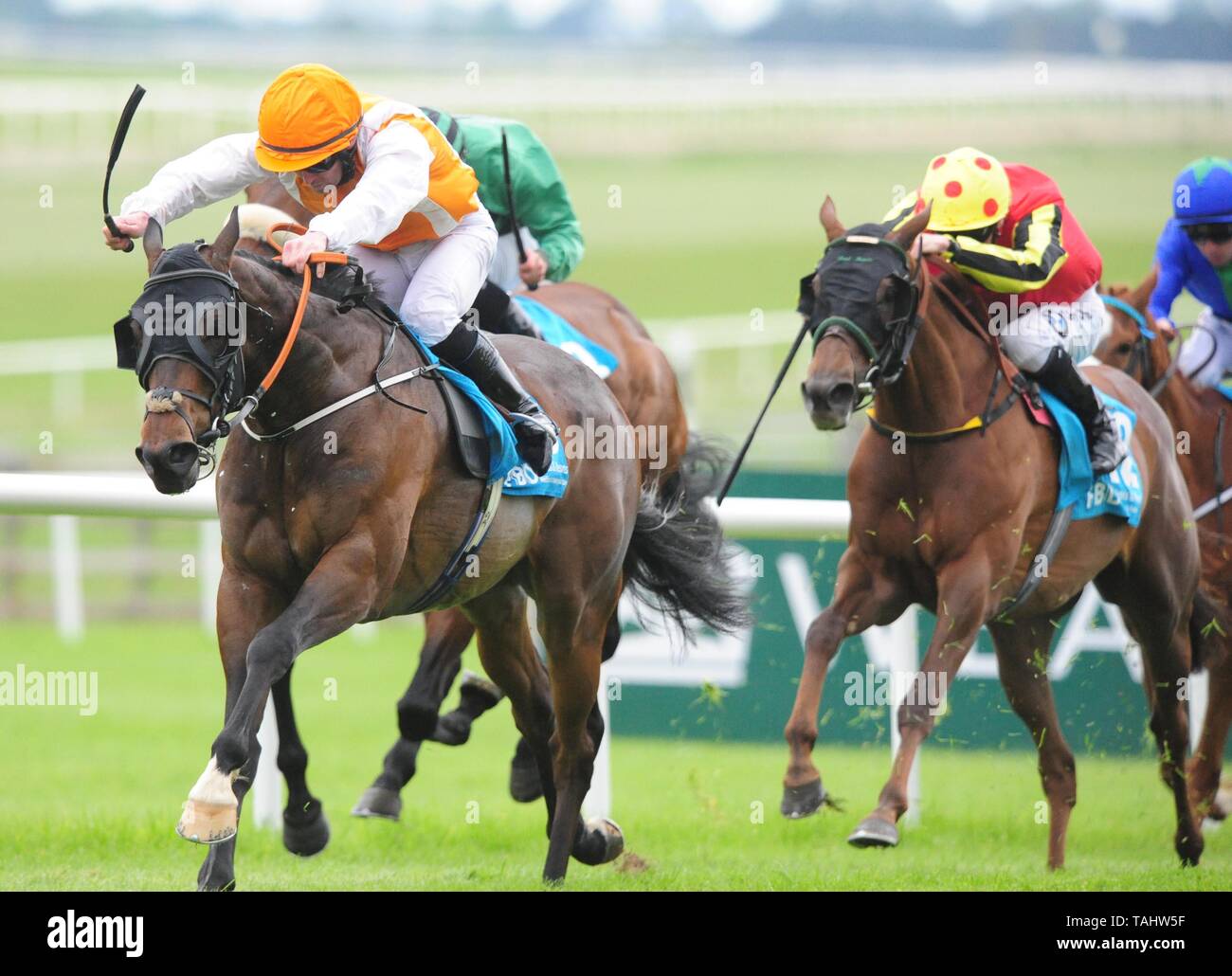 Insignia of Rank ridden by Gary Carroll win the FBD Hotels and Resorts Premier Handicap during day one of the Curragh Spring Festival at Curragh Racecourse, County Kildare Stock Photo