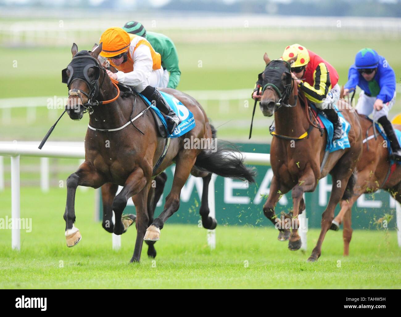 Insignia of Rank ridden by Gary Carroll win the FBD Hotels and Resorts Premier Handicap during day one of the Curragh Spring Festival at Curragh Racecourse, County Kildare Stock Photo