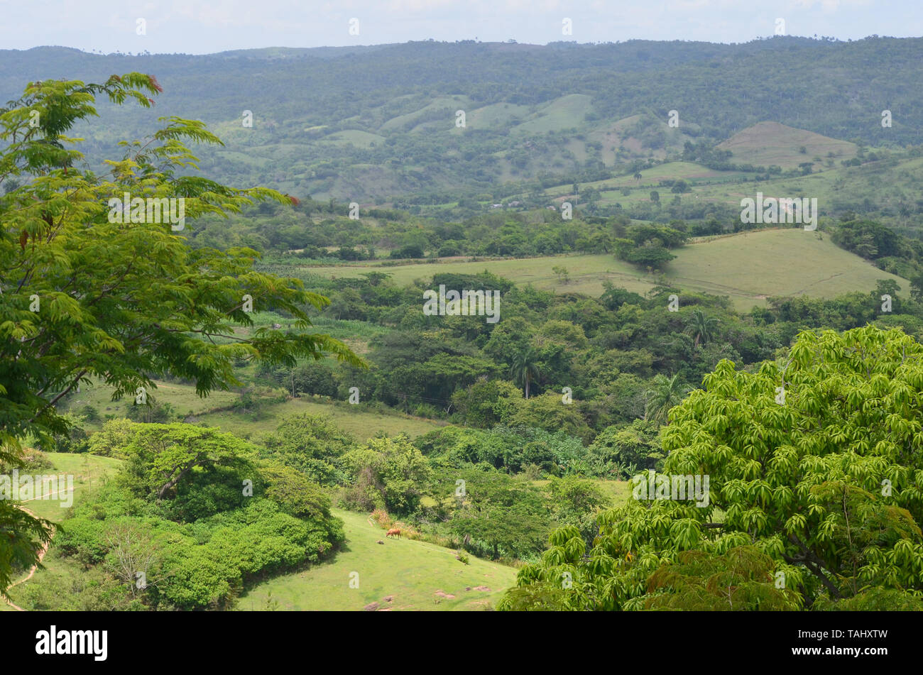 Fields and forested slopes in Guisa municipality (Granma province, Cuba), in the vicinity of Pico de la Bayamesa national park, southern Cuba Stock Photo