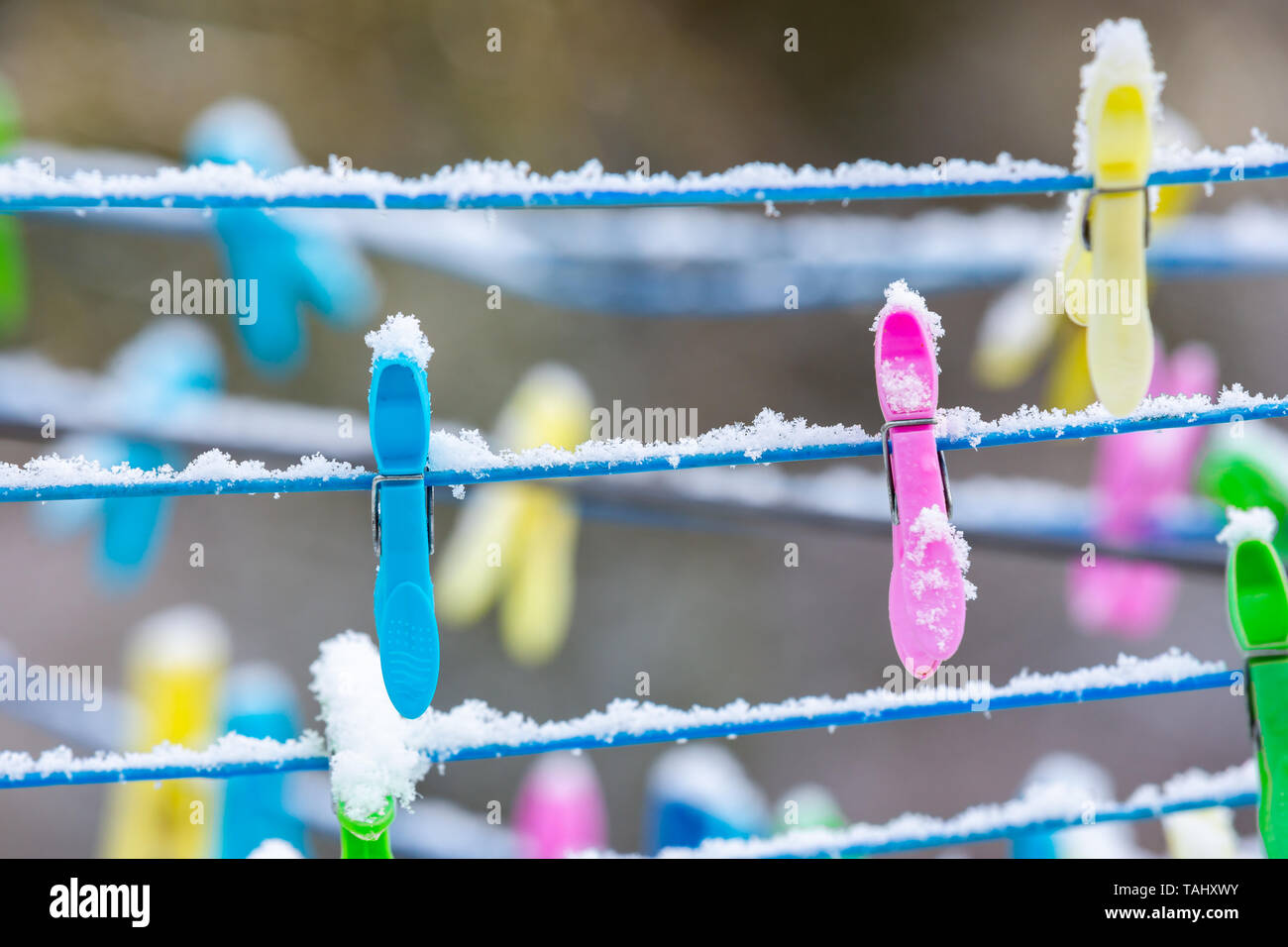 Snow covered plastic clothes pegs on rotary washing line Stock Photo