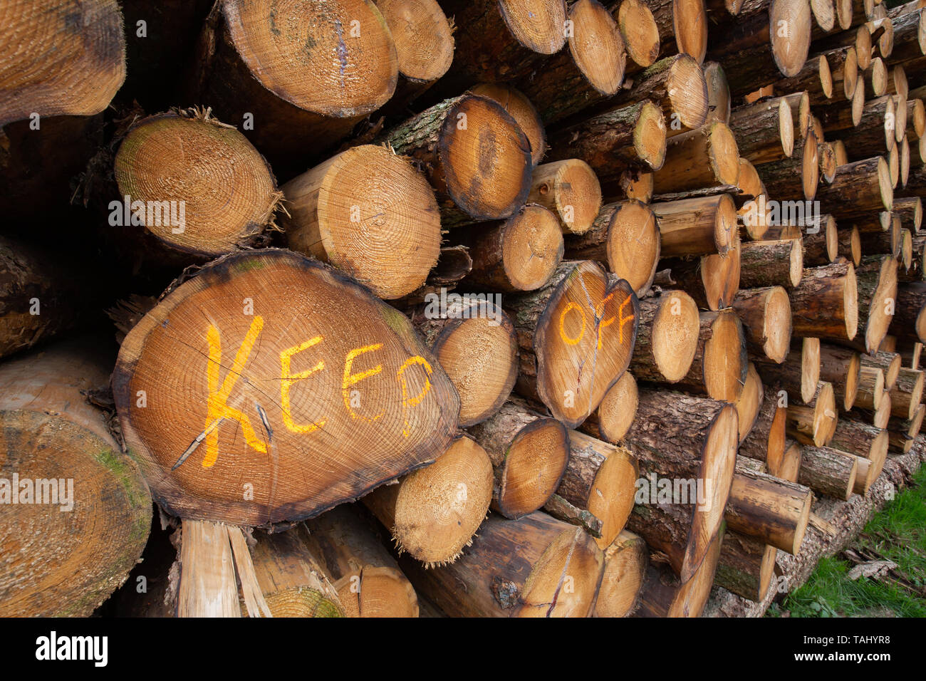 Pile of cut trees with 'Keep Off' sign Stock Photo