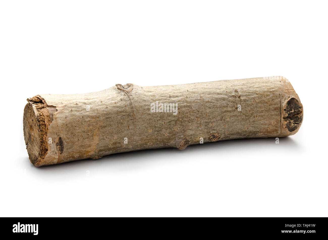 Old wood log background Cut Out Stock Images Pictures Alamy