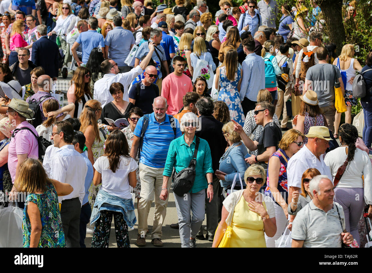 Chelsea Flower Show. West London, UK 25 May 2019 - Large crowd at the final day of the show. The Royal Horticultural Society Chelsea Flower Show is an annual garden show held in the grounds of the Royal Hospital Chelsea in West London since 1913he Royal Hospital Chelsea in West London since 1913.  Credit: Dinendra Haria/Alamy Live News Credit: Dinendra Haria/Alamy Live News Stock Photo