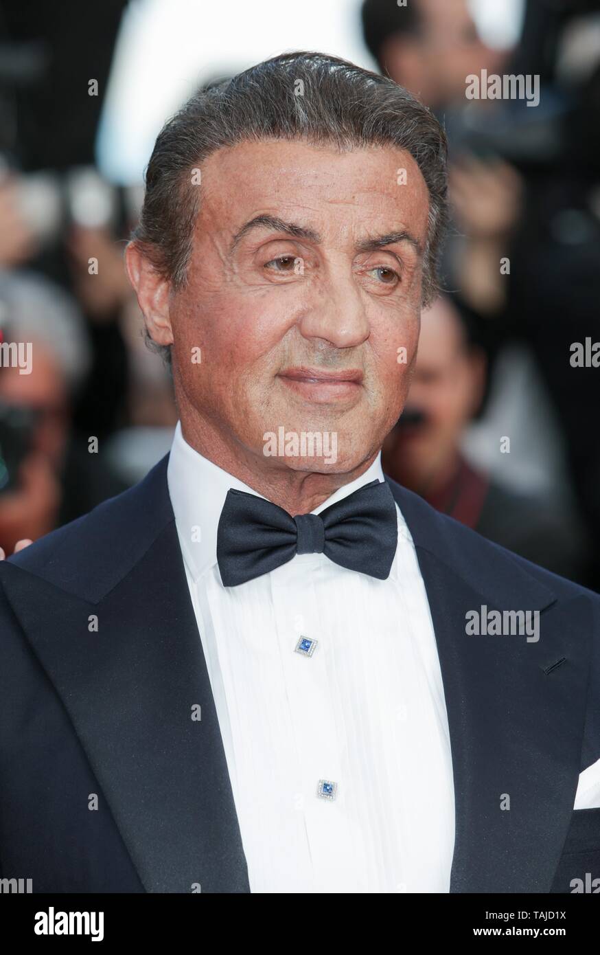 Sylvester Stallone, 2019 Credit: Allstar Picture Library/Alamy Live News Stock Photo
