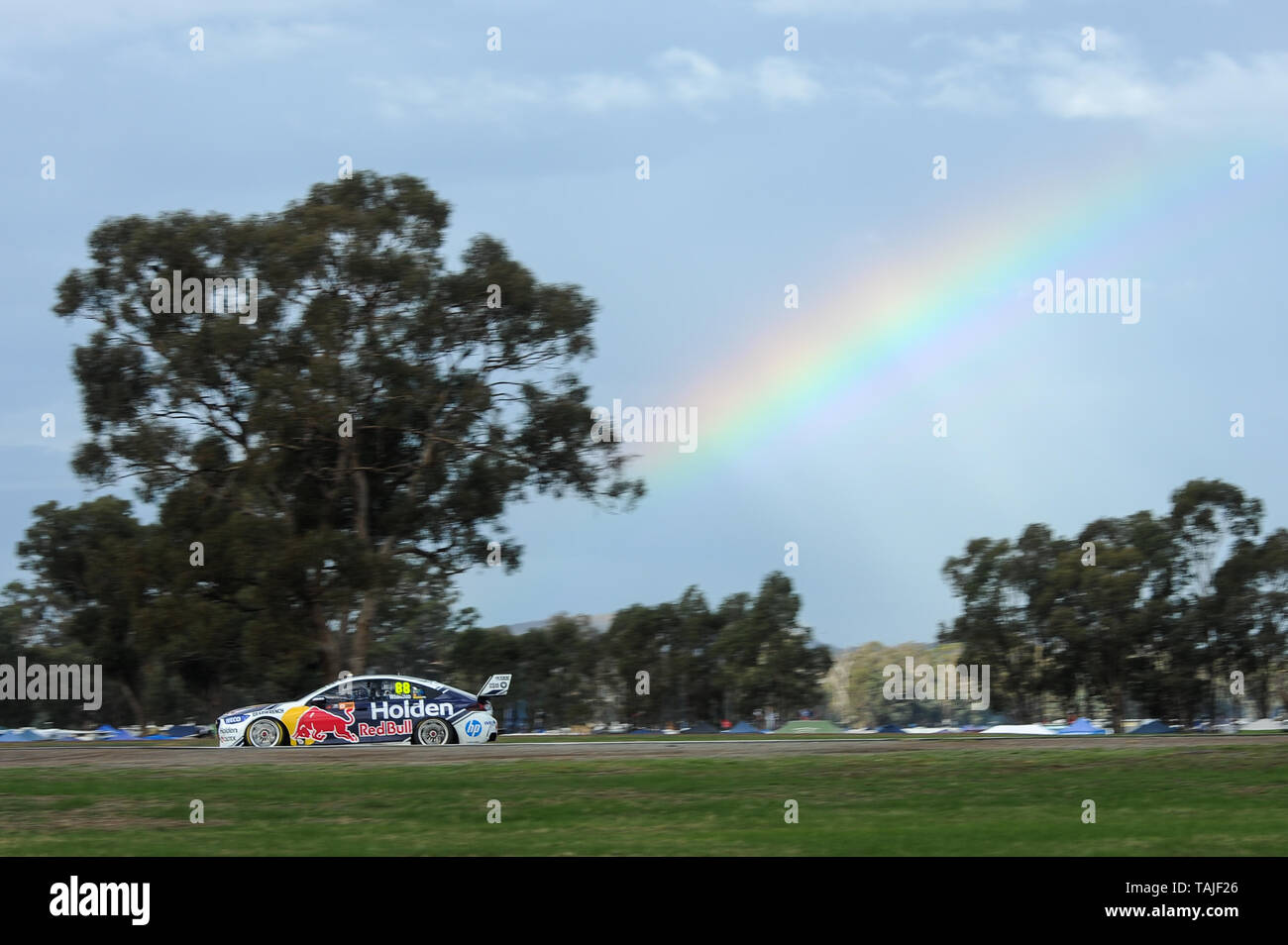 Winton, Victoria, Australia. 25th May, 2019. The Virgin Australia Supercars Championship; Jamie Whincup drives the Triple Eight Race Engineering Holden Commodore ZB during qualifying for the Winton SuperSprint Credit: Action Plus Sports/Alamy Live News Stock Photo