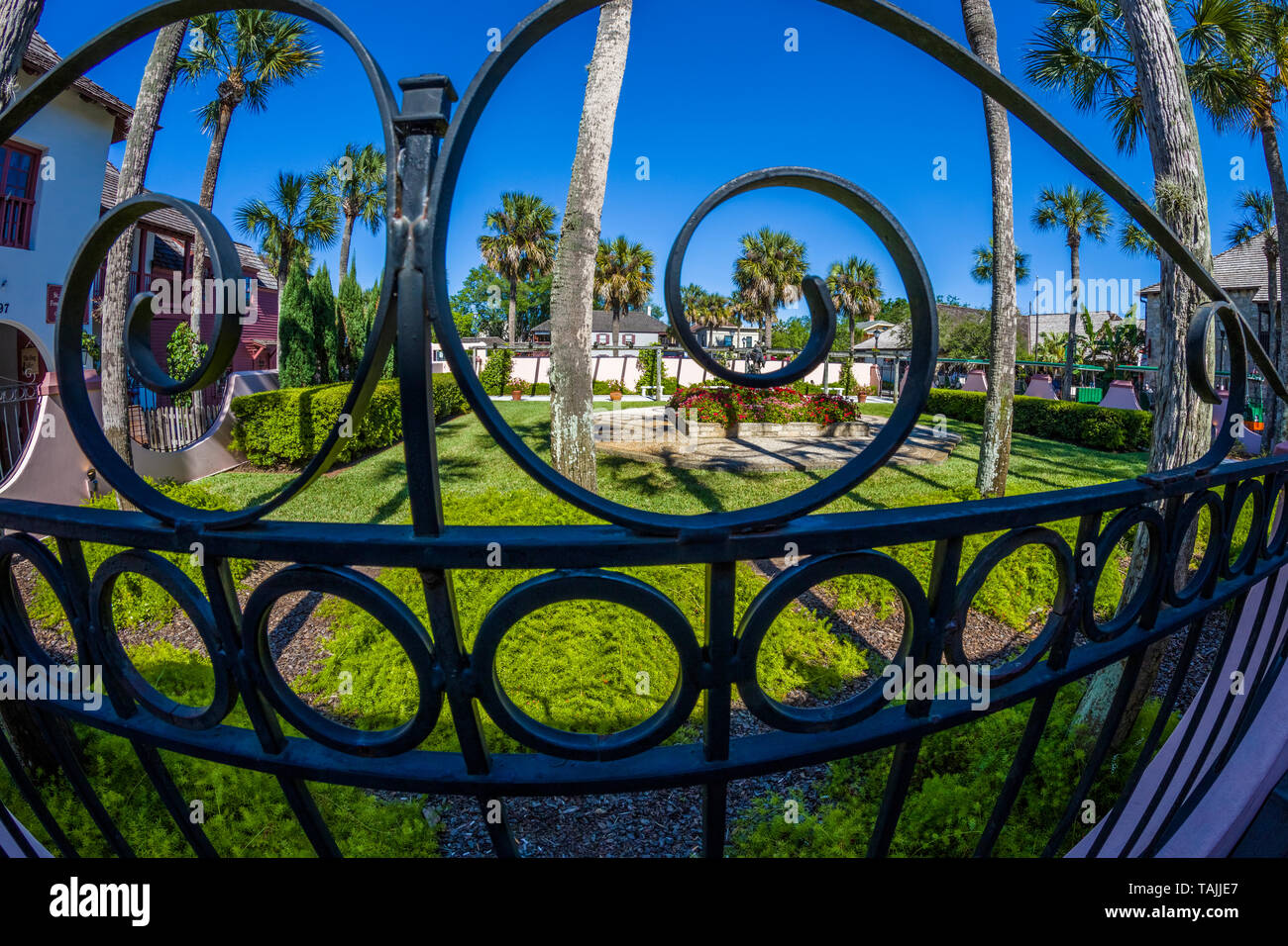 Garden on historic St George Street in downtown St Augustine Florida Americas oldest city Stock Photo
