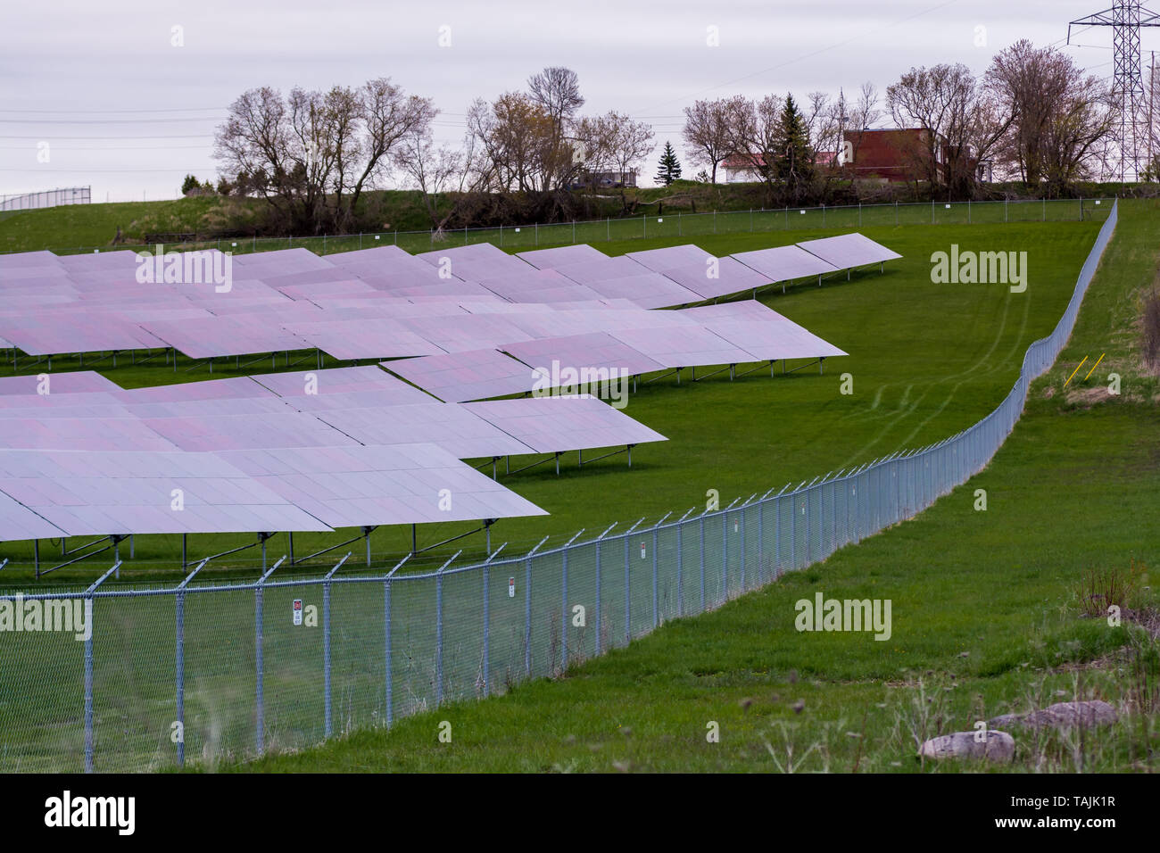 Solar farm featuring array of several solar panels Stock Photo