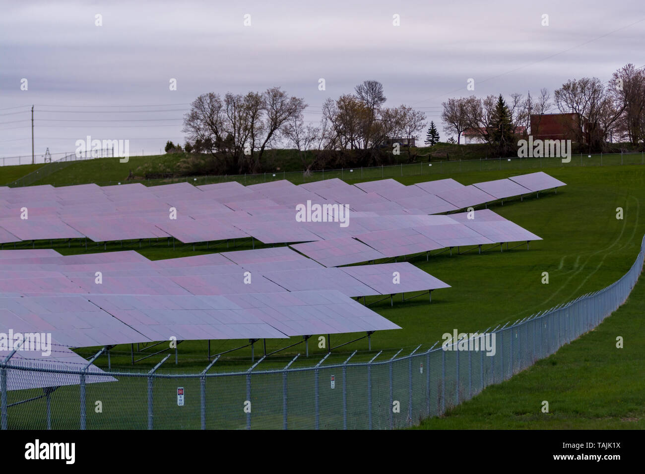 Solar farm featuring array of several solar panels Stock Photo