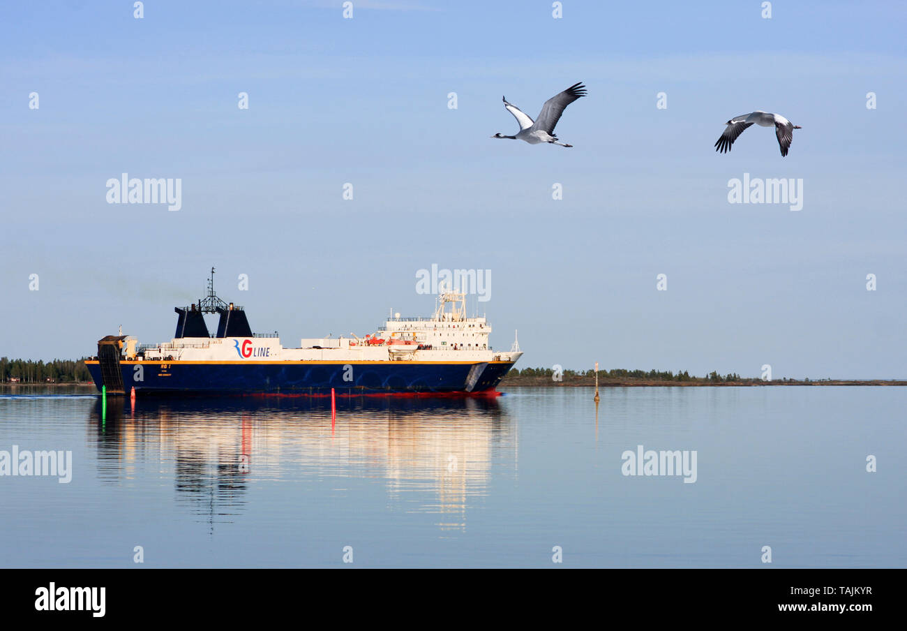 Bird Trafficking High Resolution Stock Photography and Images - Alamy