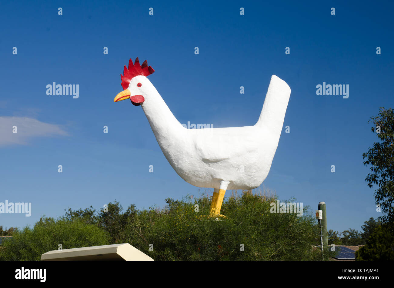 The Big Chook at Moonbi NSW Australia Stock Photo Alamy