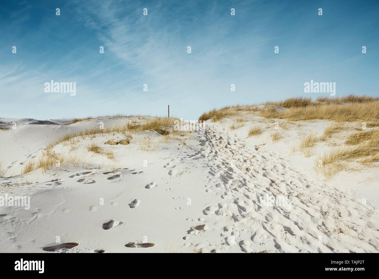 Pathway leading to the sea through dunes with marram grass and footprints in the sand under a sunny blue sky. Idyllic coastal landscape in Amrum in th Stock Photo