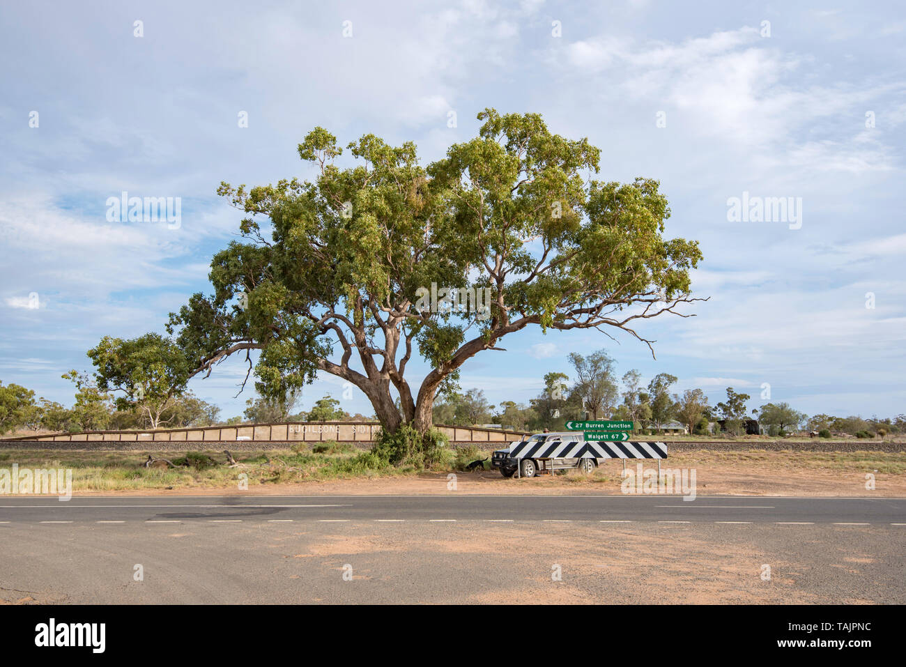 30km from the nearest town and school of Burren Junction, this is the school bus stop on the Kamilaroi Highway under a huge old Yellow Box gum tree Stock Photo