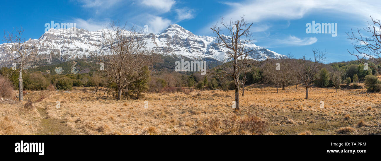 Snowcapped mountains in the Greek Alps, snow-laden mountains of Greece tower above the grassy meadows still yellow after the snowmelt. Stock Photo