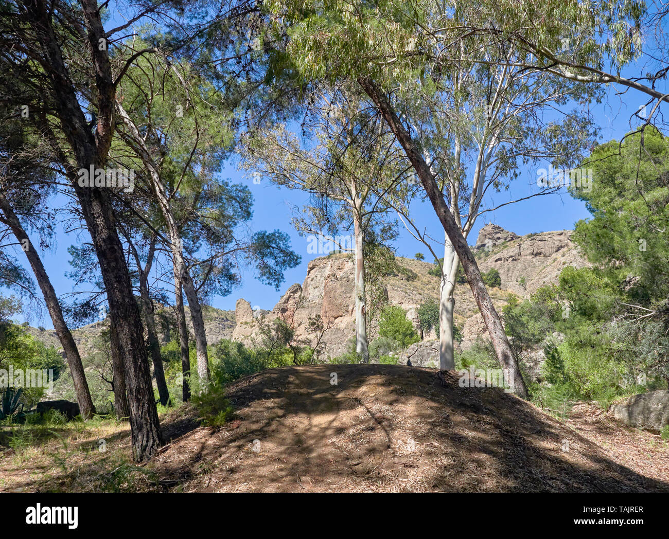 Raja ancha hi-res stock photography and images - Alamy