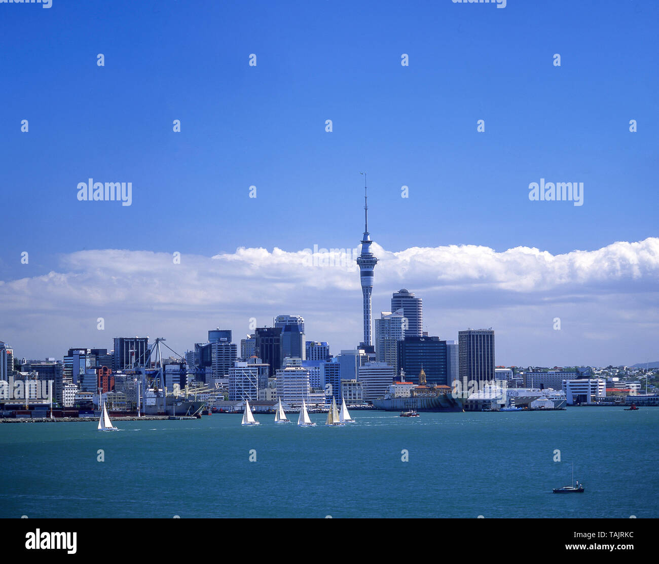 View of city and harbour, Auckland, Auckland Region, New Zealand Stock Photo