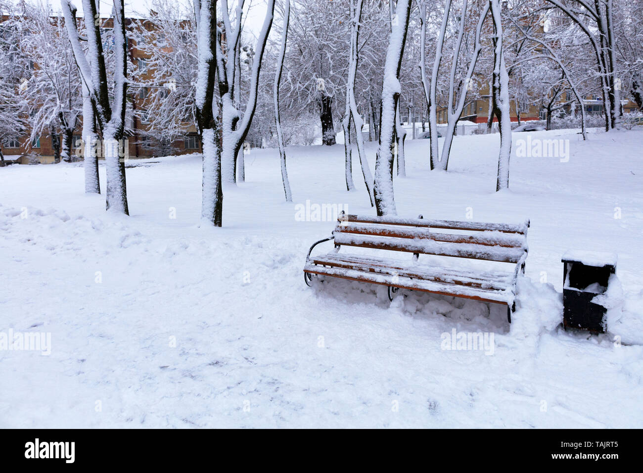 Beautiful View Of The Wooden Bench In The Alley Of The City Park