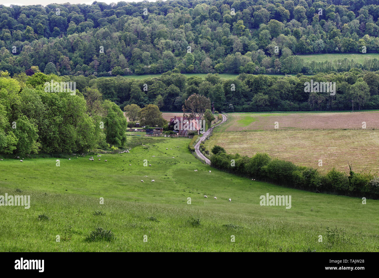 An English Rural Landscape in the Chiltern Hills with farmhouse in the valley Stock Photo