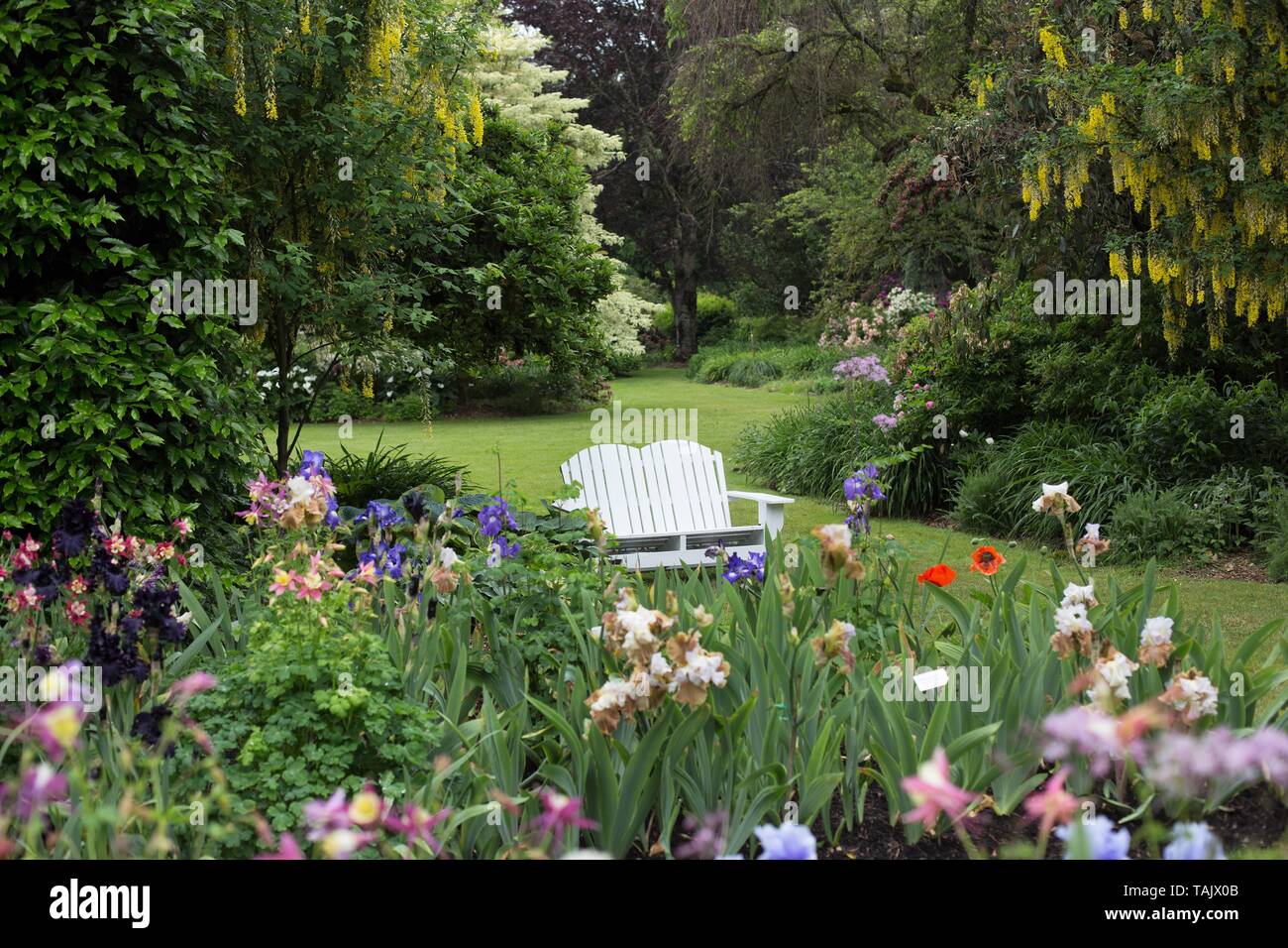 Schreiner's Iris Gardens in Salem, Oregon, USA Stock Photo Alamy