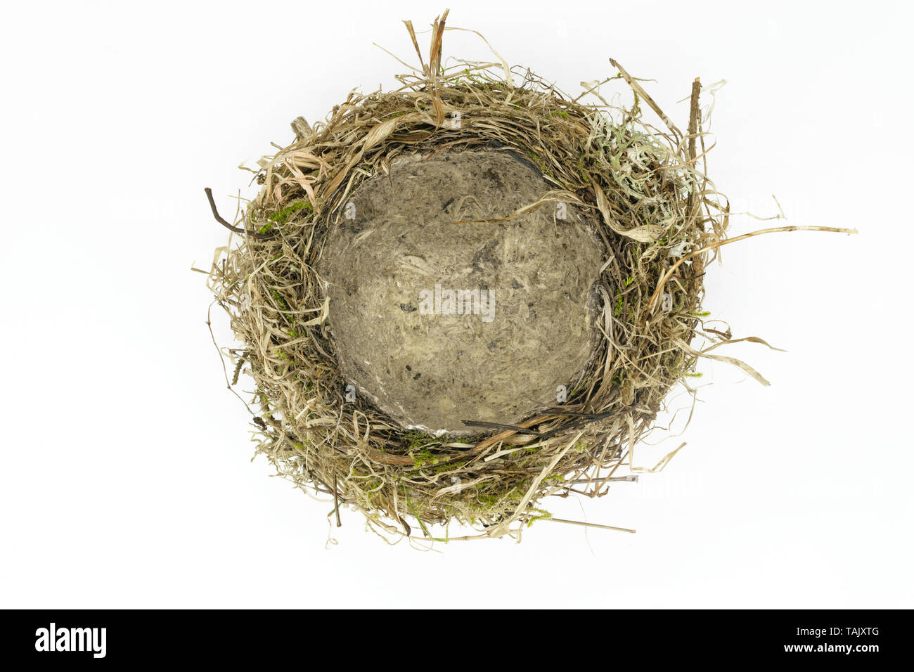 Top view of bird nest made from grass, moss, leaves and branches on