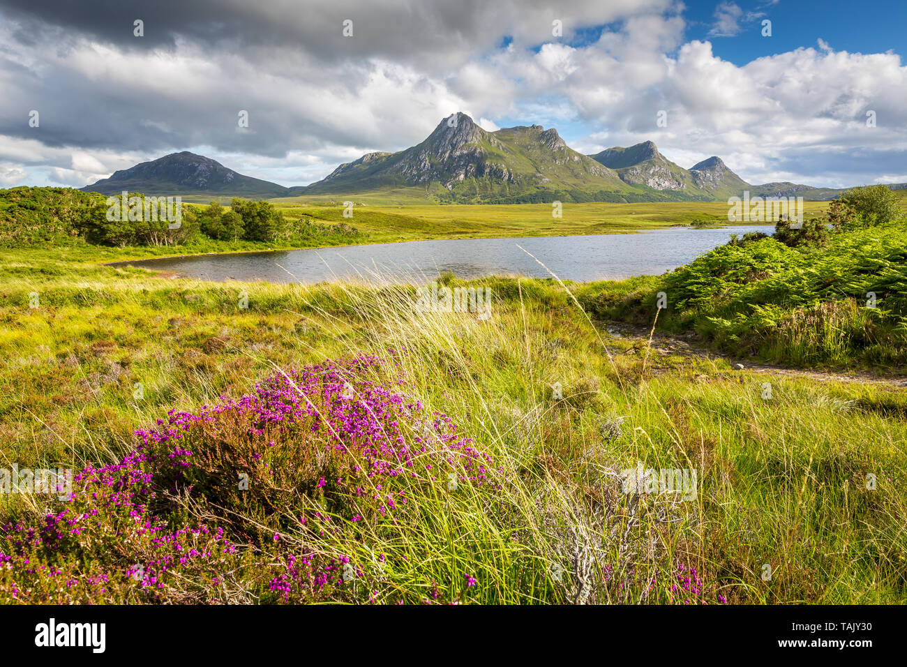 Scottish highland landscape with Ben Loyal in the back Stock Photo