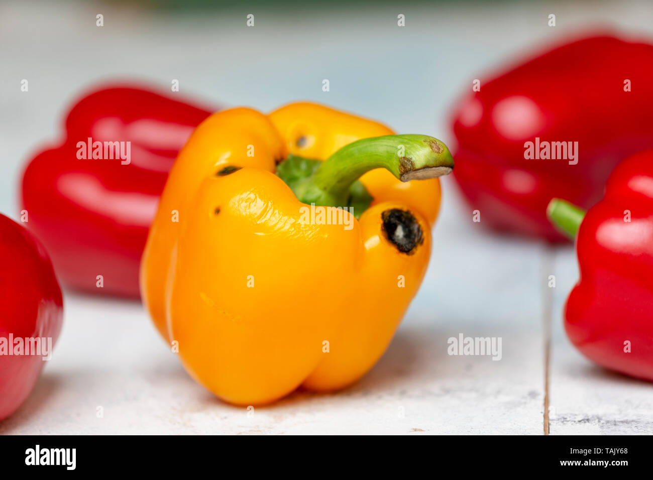 Spoiled Yellow Sweet Pepper Moulding Stock Photo