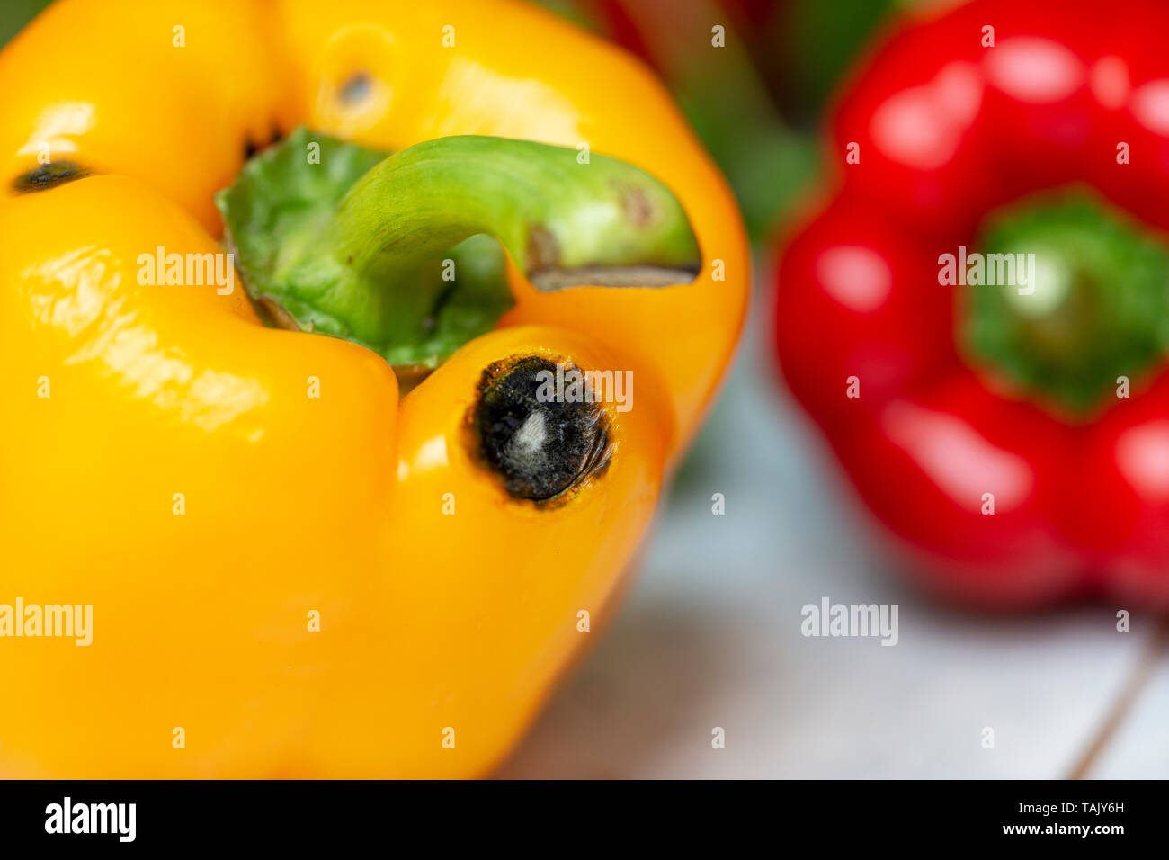 Spoiled Yellow Sweet Pepper Moulding Stock Photo