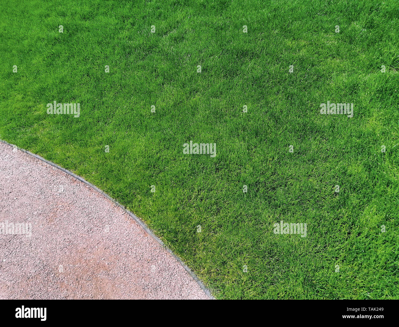 Bright green grass lawn, top view. The cover, background or template of the site, promo Stock Photo