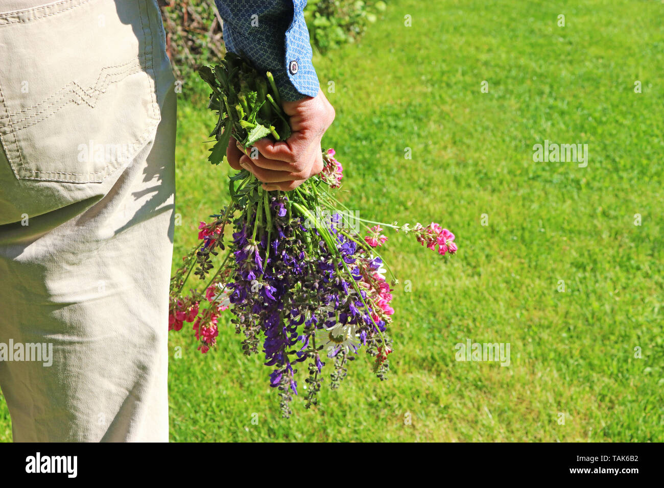 Garden wildflowers hand colored hi-res stock photography and images - Alamy