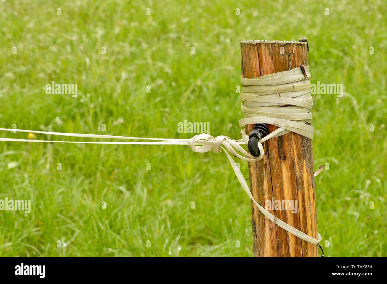 wooden pole holding an electrified fence Stock Photo