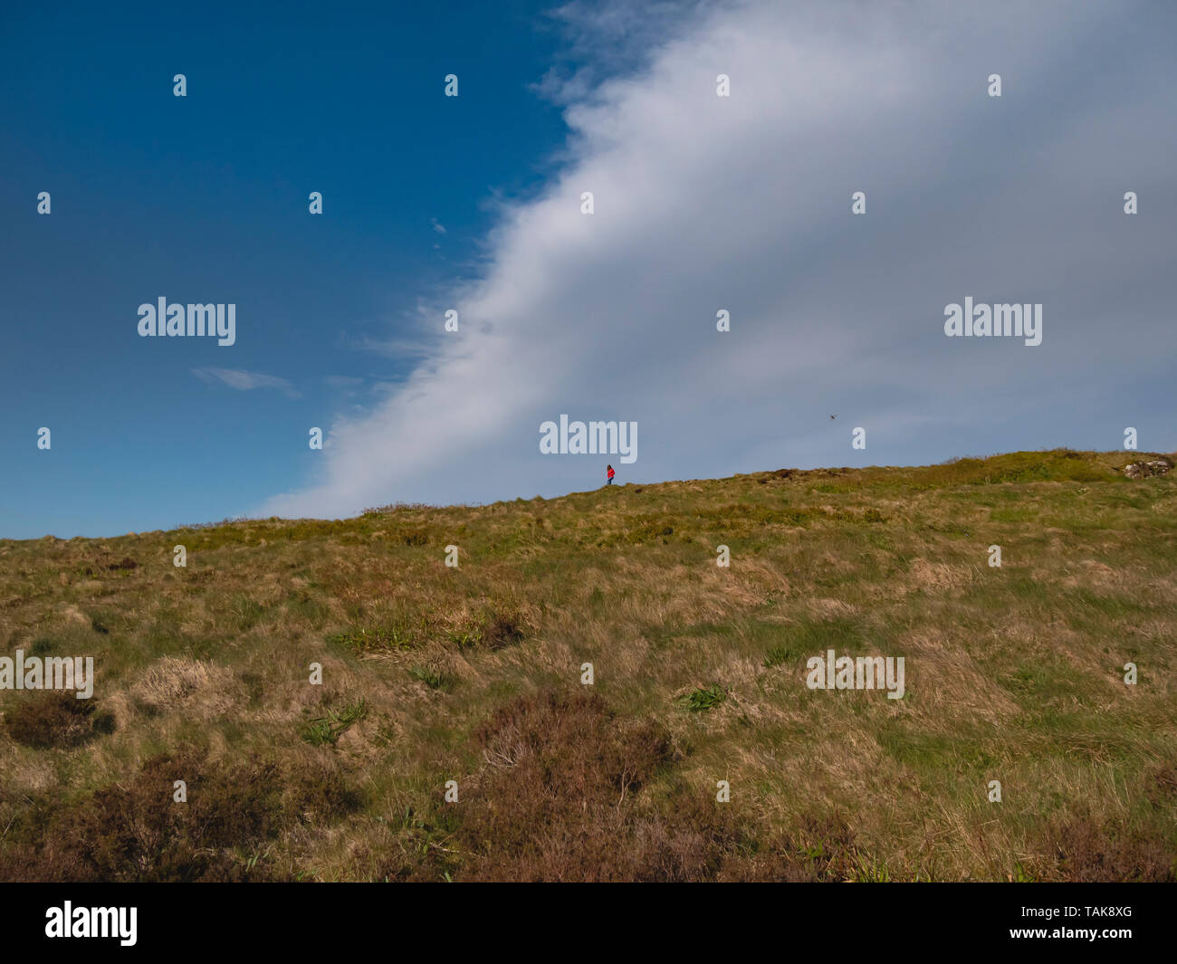 Walk over the infinite grasslands of Binevenagh in Northern Ireland - travel photography Stock Photo