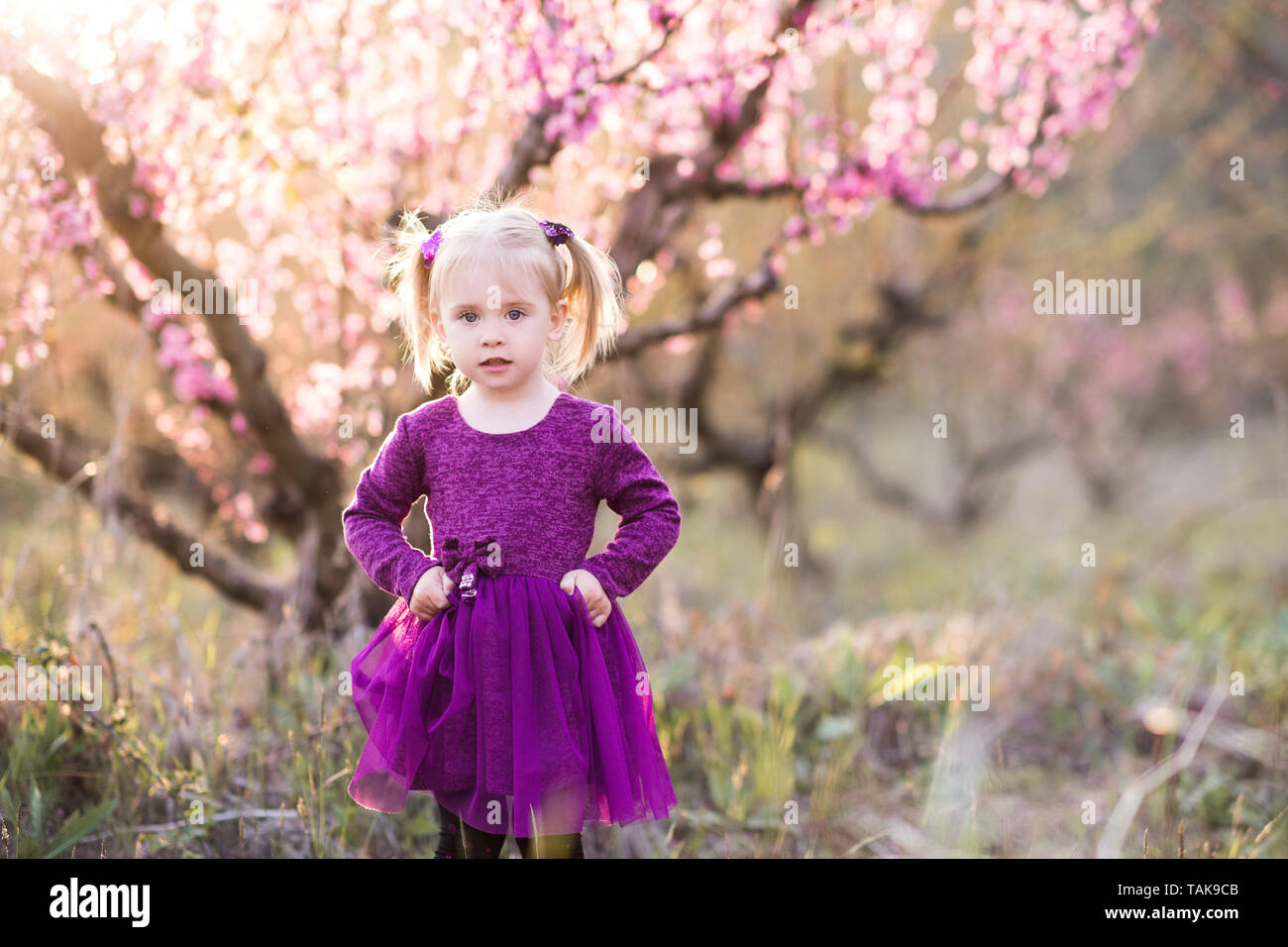 cute baby girl in purple dress