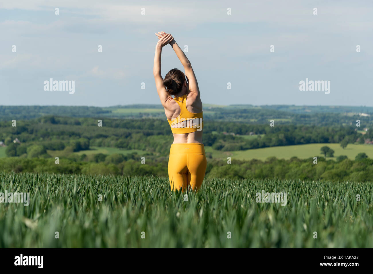 back view of a sporty woman standing in a field exercising and stretching. Stock Photo
