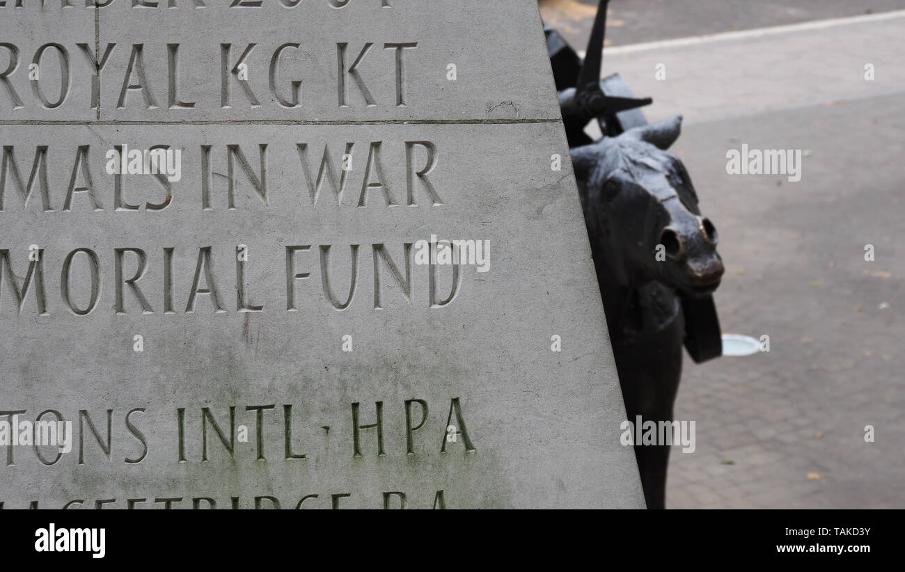 Animals in War Memorial Stock Photo Alamy