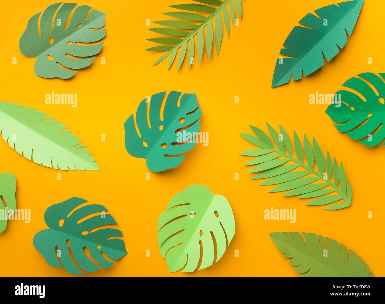 Set of different fresh tropical leaves on yellow background Stock Photo ...