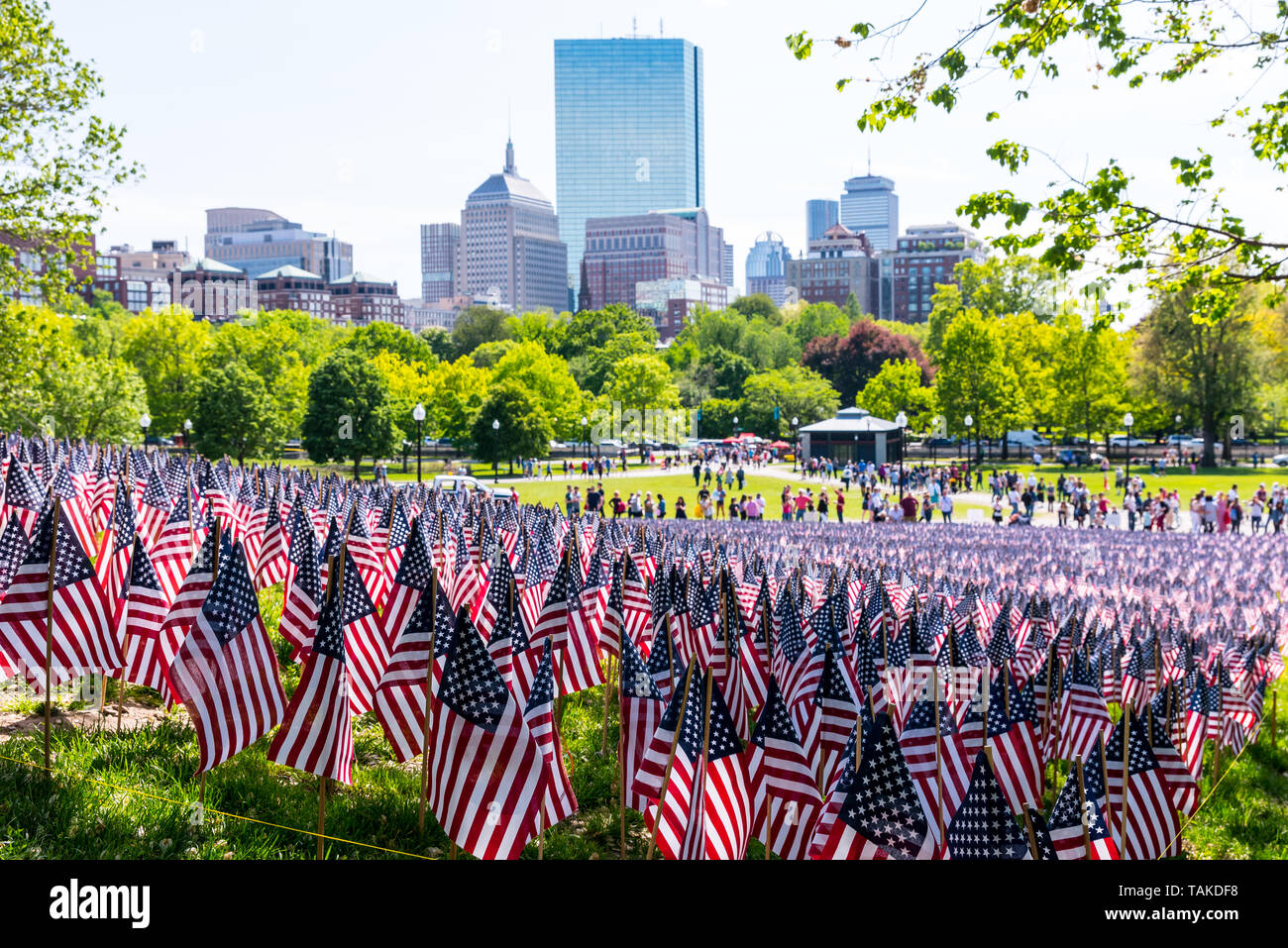 View of the 37,297 flags adorning the hill in the Boston Common on