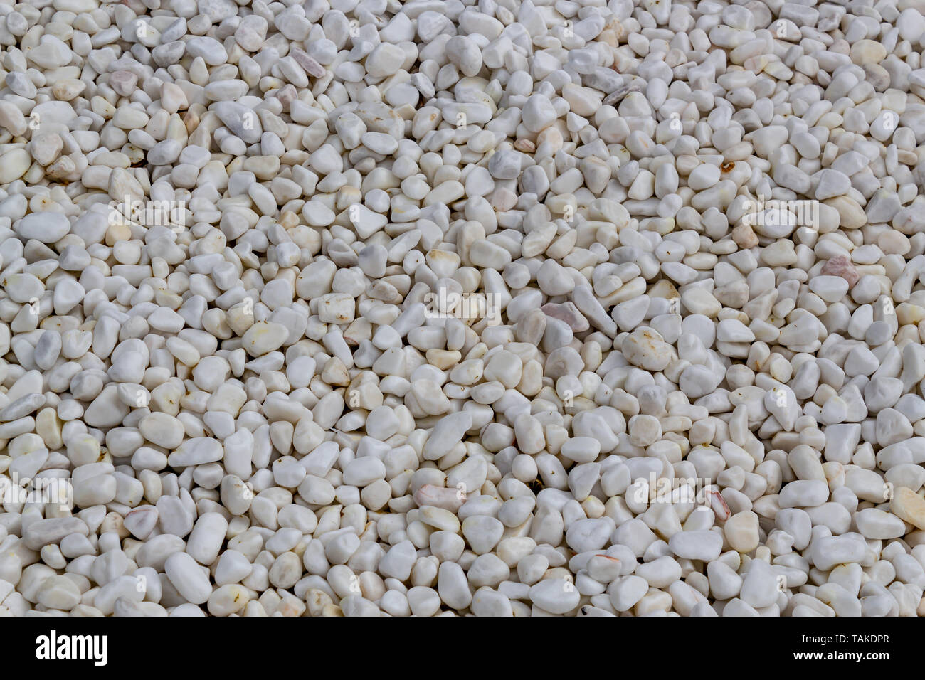 White pebbles background Stock Photo