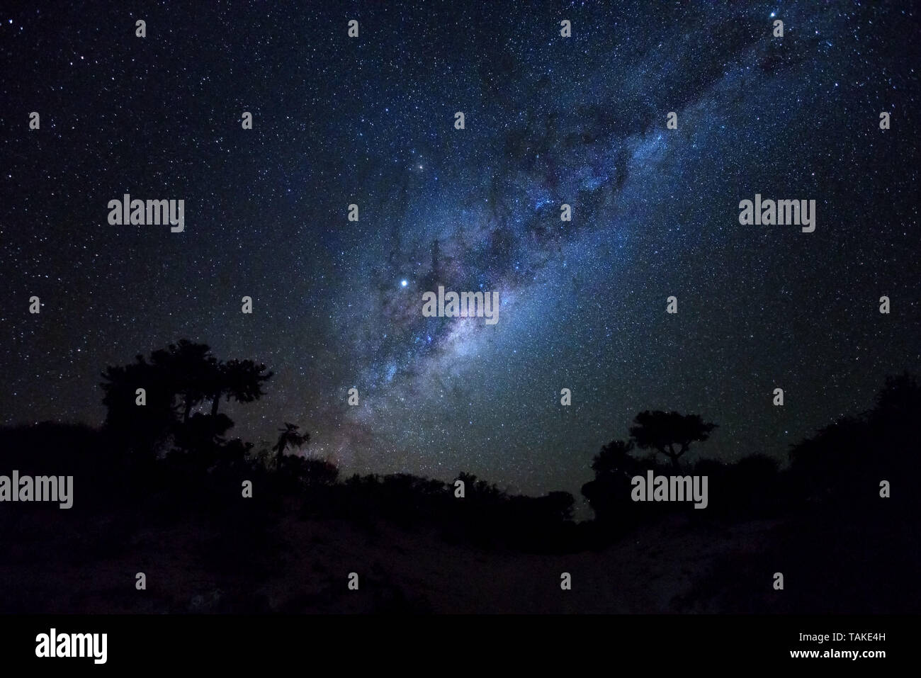 Starry night with Milky Way over palm trees silhouettes as seen from Anakao, Madagascar Stock Photo