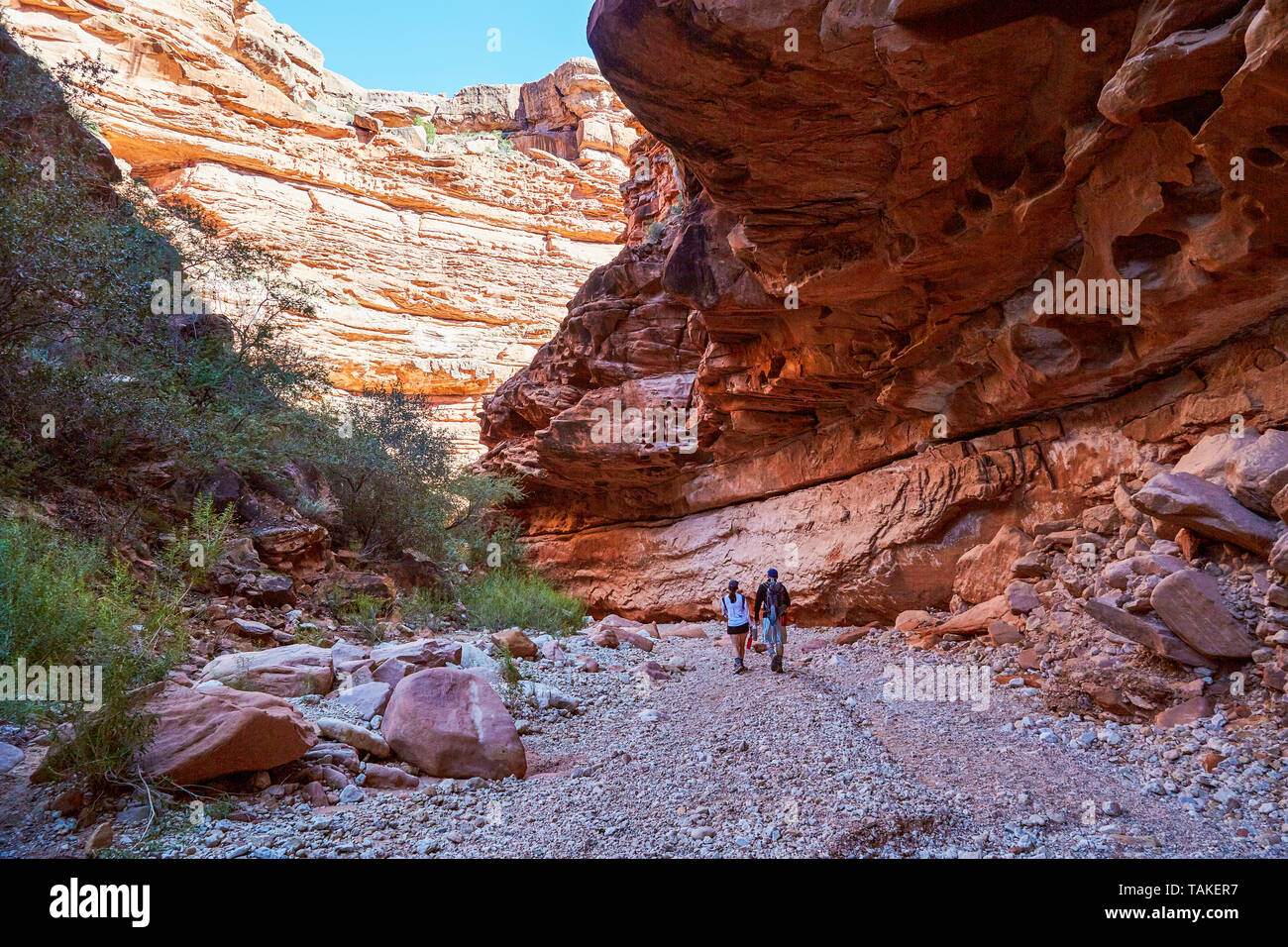 Hikers in red rock canyon in Arizona's Havasupai. Stock Photo