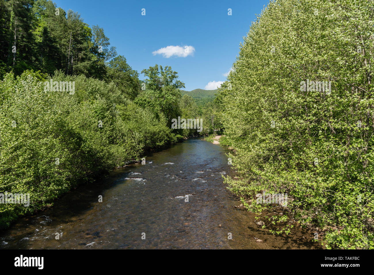Beautiful Pigeon river vista in springtime, western North Carolina