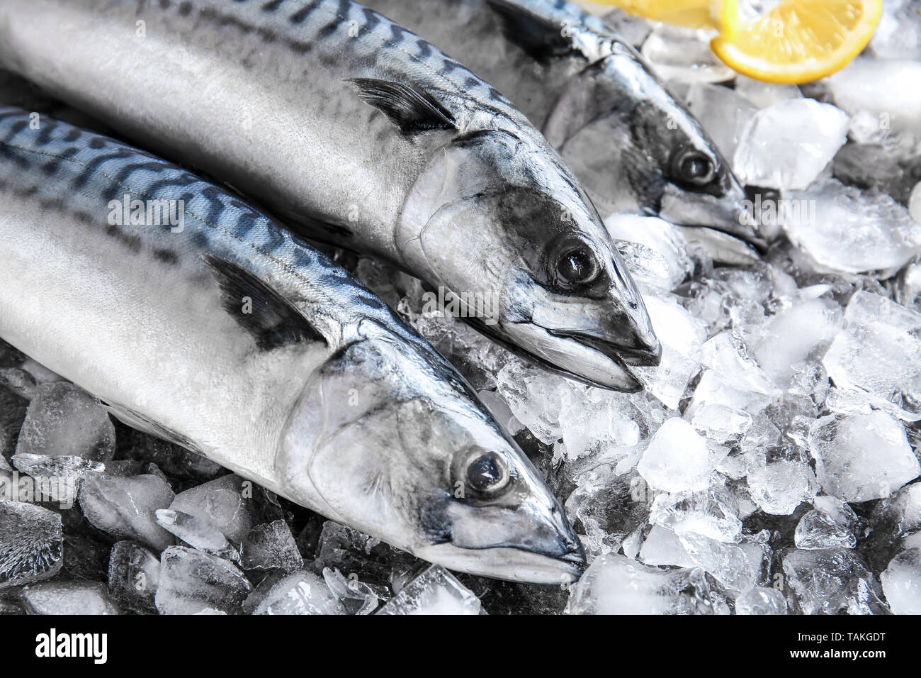 Tasty raw mackerel fish on ice Stock Photo Alamy