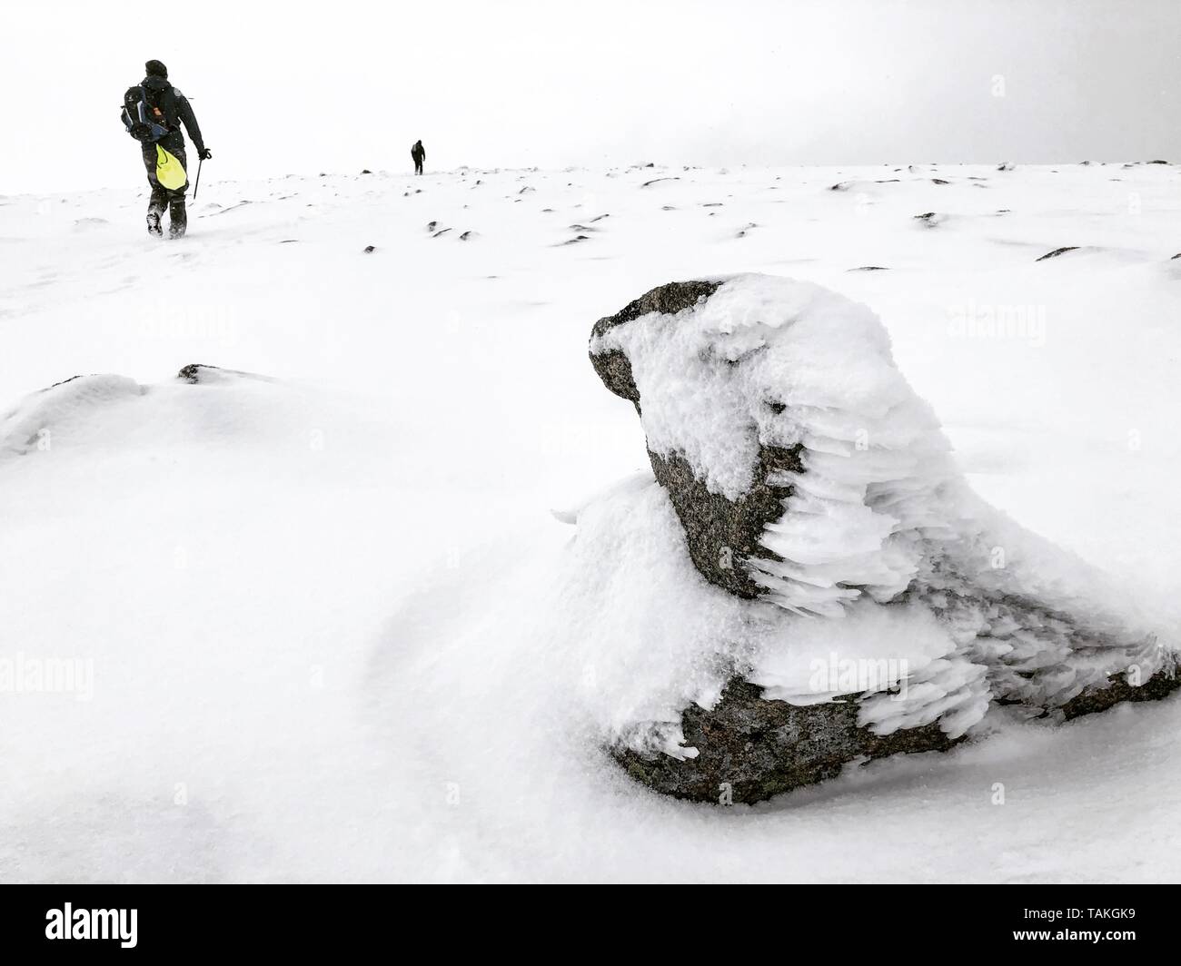 Spring in the Cairngorms Stock Photo